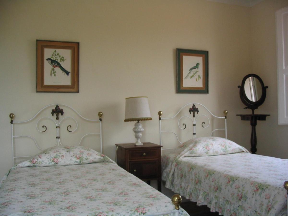 Casa De Sao Joao Homestay *